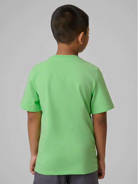 4F 4F T-Shirt BASIC+ Zelená Regular Fit