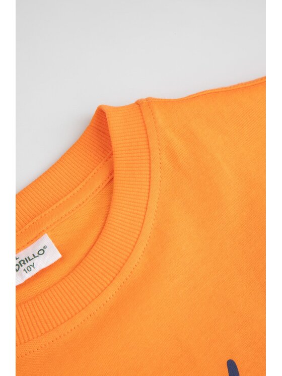 Coccodrillo Coccodrillo T-Shirt WC6143216VBB-006 Pomarańczowy Regular Fit