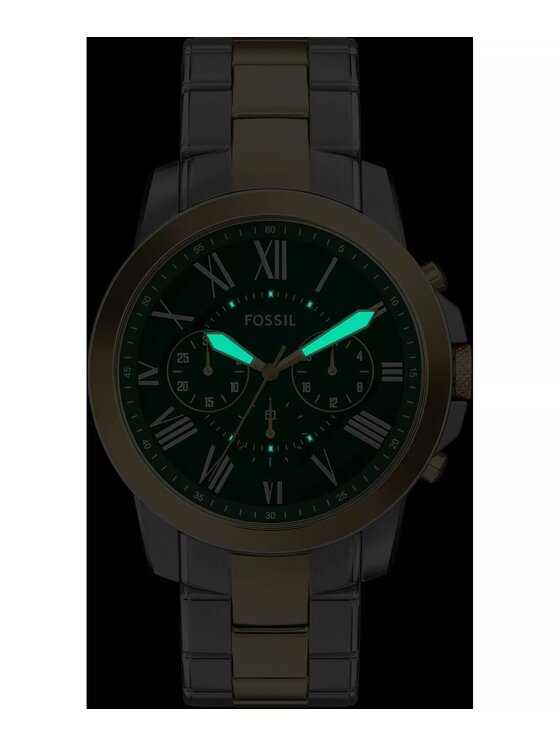 Fossil Fossil Hodinky FS6131 Strieborná