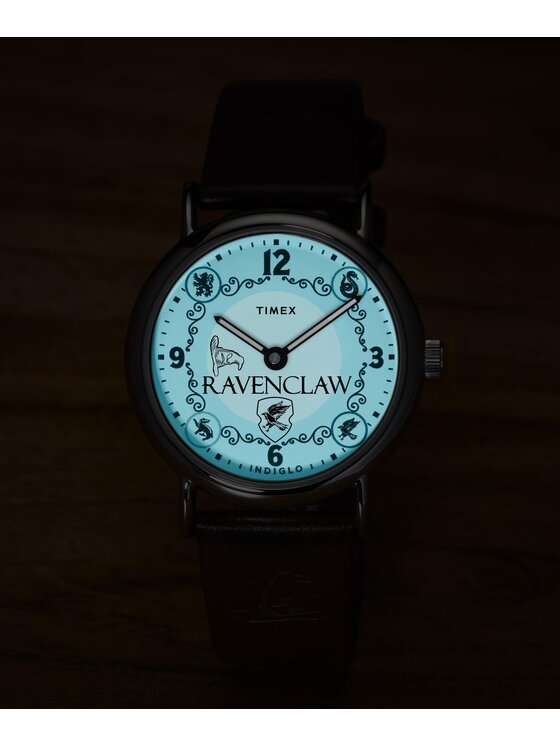 Timex Timex Hodinky TW2Y76500 Hnedá