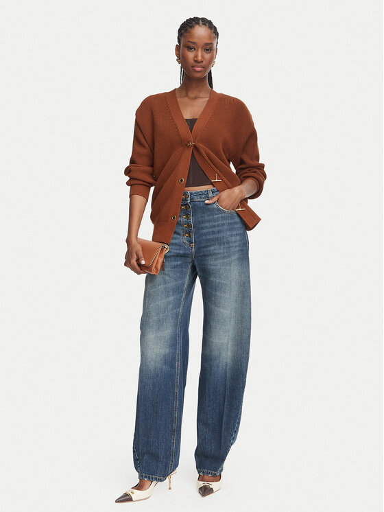 Elisabetta Franchi Elisabetta Franchi Kardigan MK-01S-66E2-V400 Pruun Regular Fit