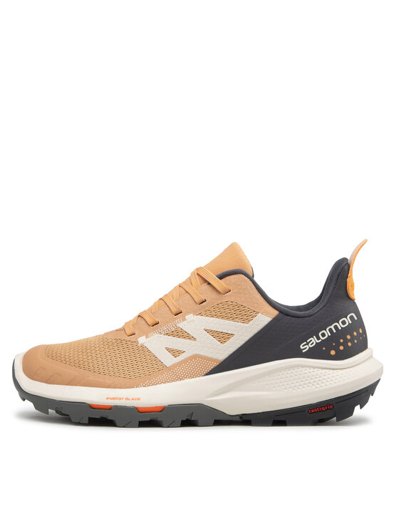 Salomon Salomon Trekking čevlji Outpulse W 416887 20 V0 Rjava