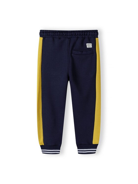 minoti minoti Spodnie dresowe 17FLEECE 7 Niebieski Regular Fit