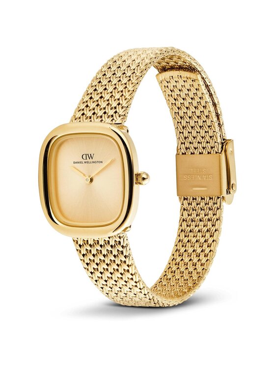 Daniel Wellington Daniel Wellington Hodinky DW00100964 Zlatá