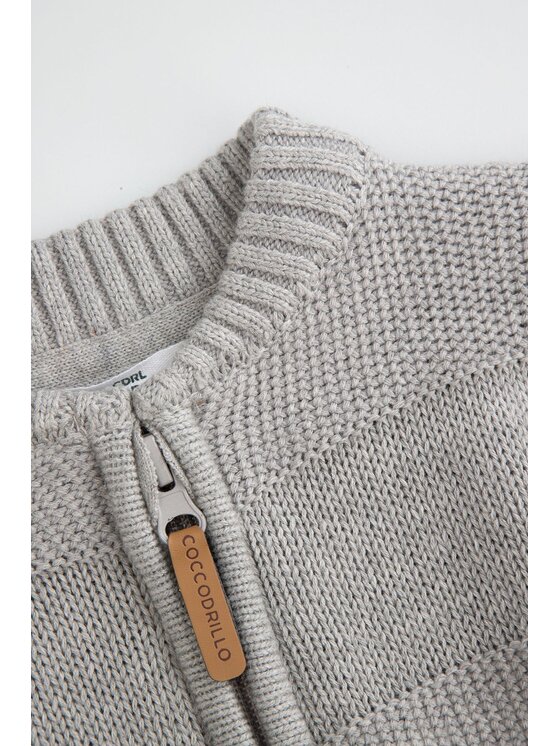 Coccodrillo Coccodrillo Sveter ZC5172201FBN-019 Sivá Regular Fit