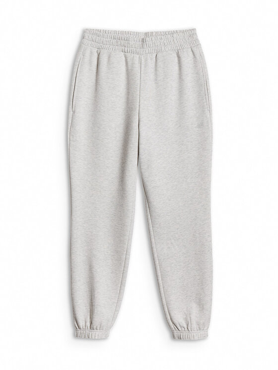 4F 4F Spodnie dresowe BASIC+ Szary jasny Regular Fit