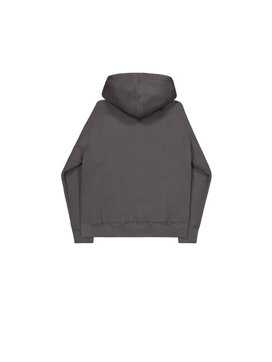 Alpha Industries Alpha Industries Mikina Alpha Puff Print Hoodie Sivá Regular Fit