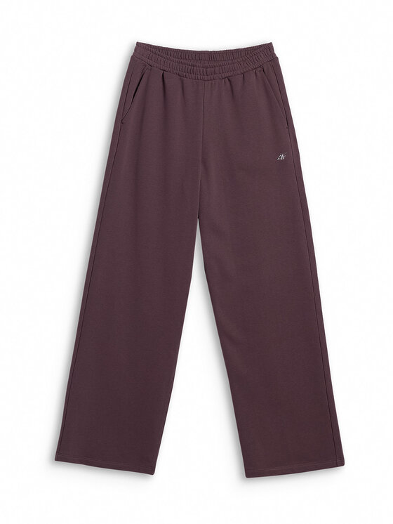 4F 4F Spodnie dresowe basic Brązowy Regular Fit