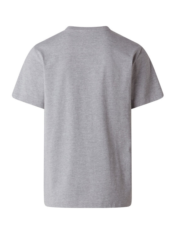 The North Face The North Face T-Shirt Evolution Simple Dome Tee Šedá Regular Fit