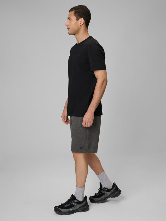 4F 4F Szorty sportowe BASIC+ Szary ciemny Regular Fit