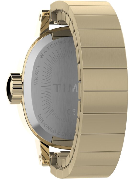 Timex Timex Hodinky TW2Y70800 Zlatá