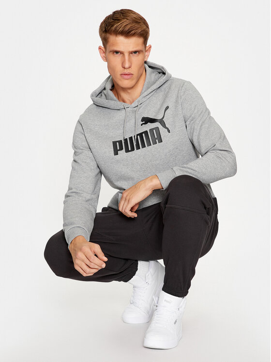 Puma Puma Bluza Puma Essential Big Logo Hoody Szary Regular Fit