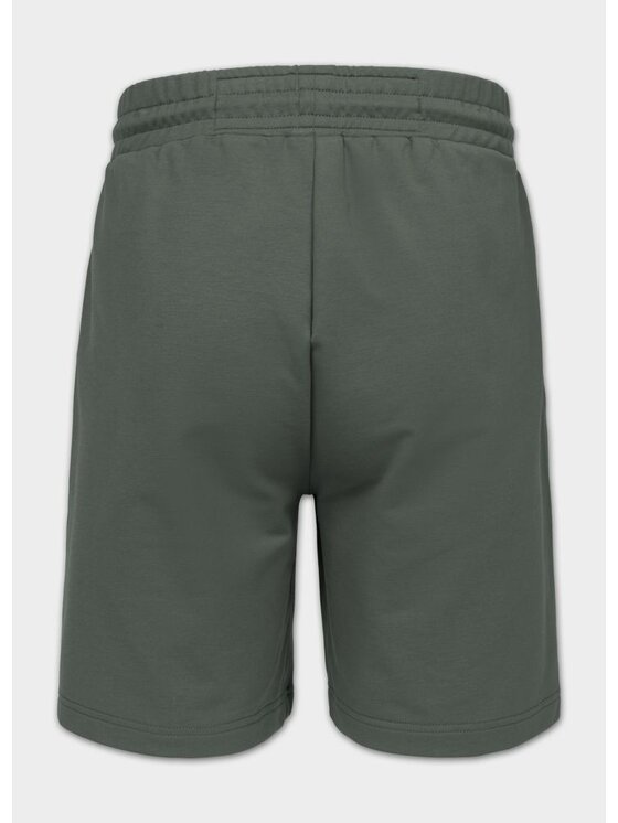 PITBULL PITBULL Szorty materiałowe SMALL LOGO NUGGET Zielony ciemny Regular Fit