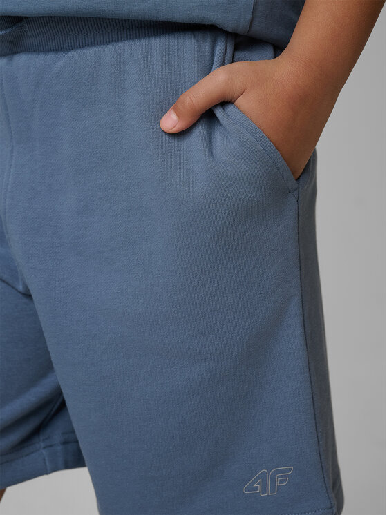 4F 4F Szorty sportowe BASIC+ Regular Fit