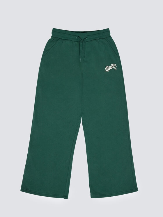 BIG STAR BIG STAR Spodnie dresowe RUBILIAPW Zielony Basic Fit
