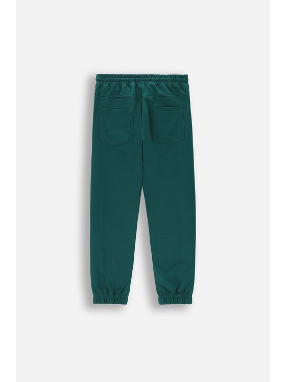 Coccodrillo Coccodrillo Spodnie dresowe ZC4120103ABJ-011 Zielony Slim Fit