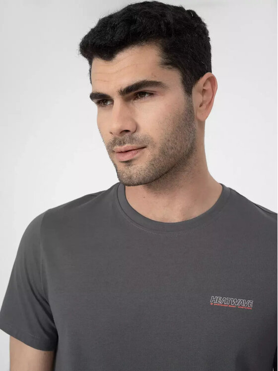4F 4F T-Shirt 4FSS23TTSHM355-22S Szary Regular Fit