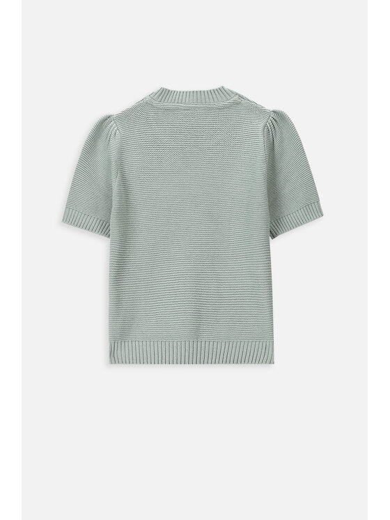 Coccodrillo Coccodrillo Sweter WC4172101GEJ-031 Zielony Regular Fit