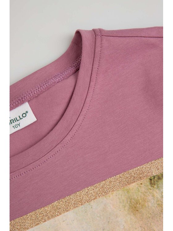 Coccodrillo Coccodrillo T-Shirt ZC6143213VGA-007 Różowy Regular Fit