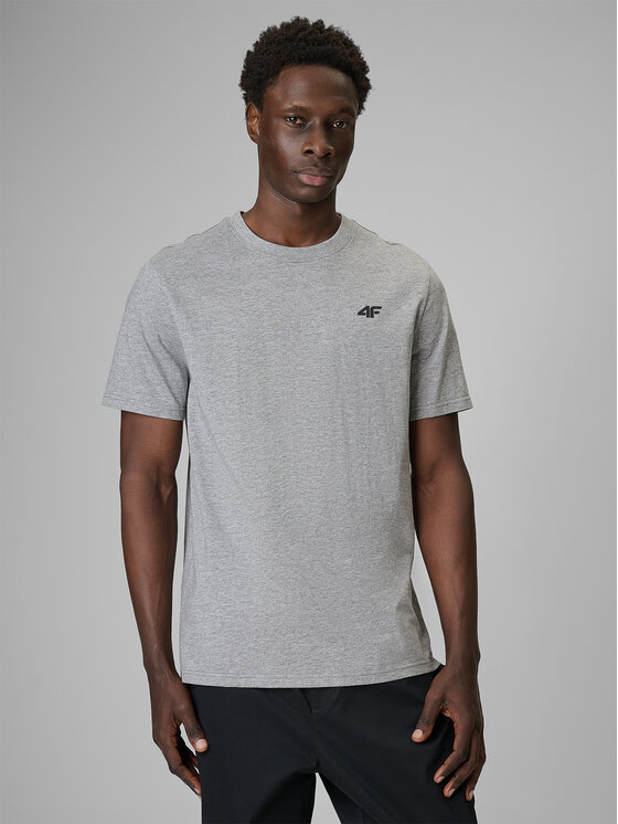 4F 4F T-Shirt NOS Kolorowy Regular Fit