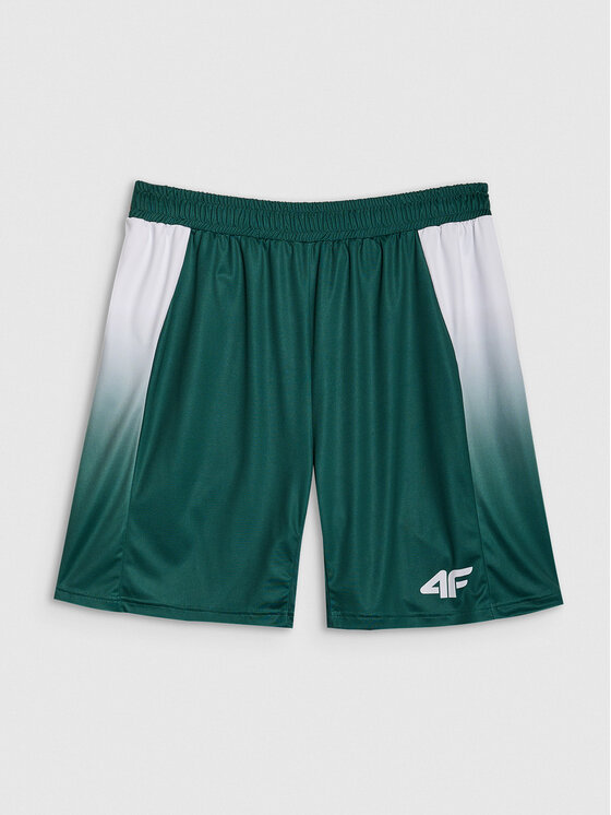 4F 4F Szorty sportowe TEAMWEAR Kolorowy Regular Fit