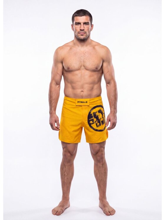 PITBULL PITBULL Szorty sportowe LOGO PALMS Żółty Regular Fit