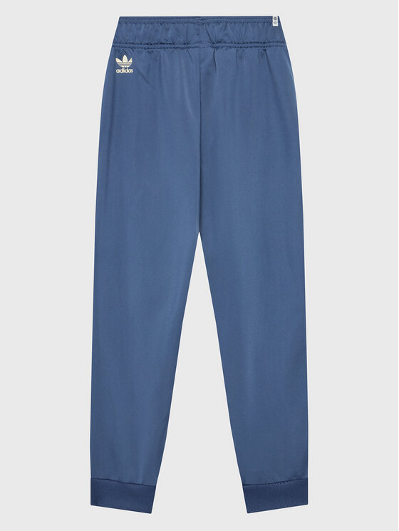 adidas adidas Спортивні штани Graphic Track HK2831 Голубий Regular Fit