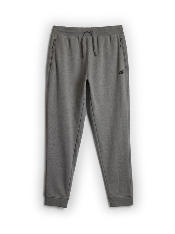 4F 4F Spodnie dresowe BASIC+ Szary Regular Fit