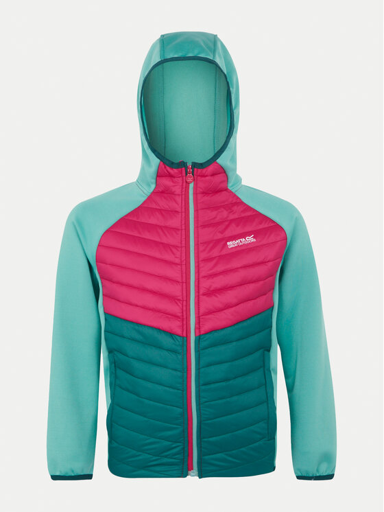 Regatta Regatta Куртка softshell Kielder VIII RKN153 Зелений Regular Fit