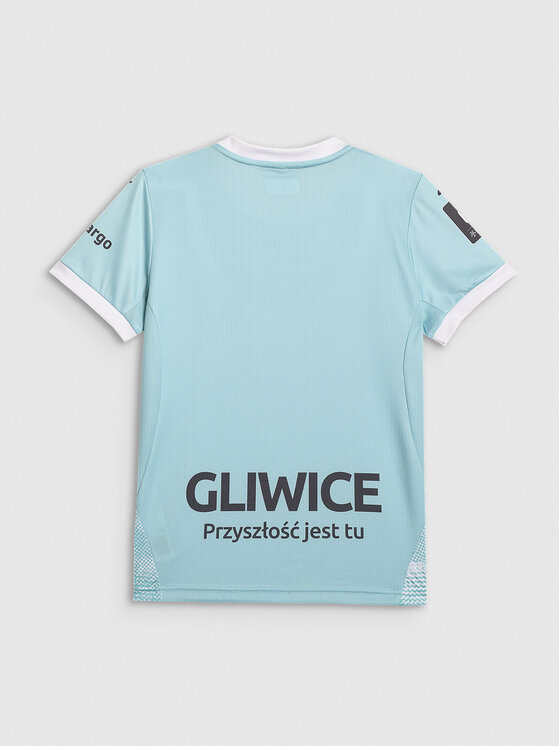 4F 4F Koszulka techniczna TEAMWEAR Kolorowy Regular Fit