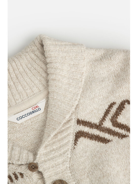 Coccodrillo Coccodrillo Sweter ZC3172201CBK-002 Beżowy Regular Fit