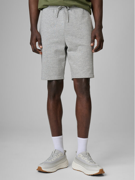 4F 4F Szorty sportowe BASIC+ Szary jasny Regular Fit