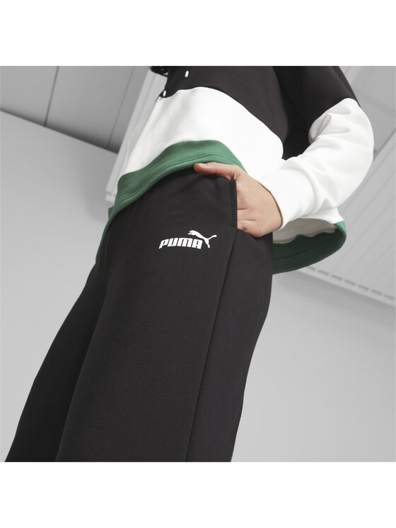 Puma Puma Spodnie dresowe 673978 Czarny Regular Fit