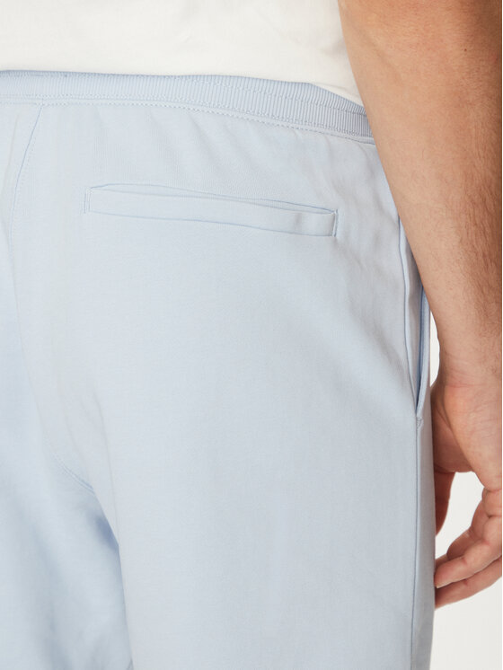 Tommy Hilfiger Tommy Hilfiger Шорти з тканини Essential Terry Sweatshort MW0MW37240 Блакитний Regular Fit
