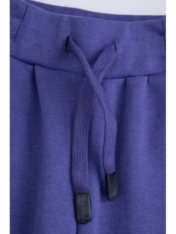 Coccodrillo Coccodrillo Teplákové nohavice WC5120101CGJ-014 Modrá Regular Fit