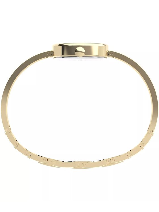 Timex Timex Hodinky TW2Y27200 Zlatá