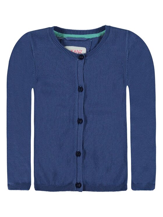 Kanz Kanz Sweter 1716829-3580 Niebieski Basic Fit