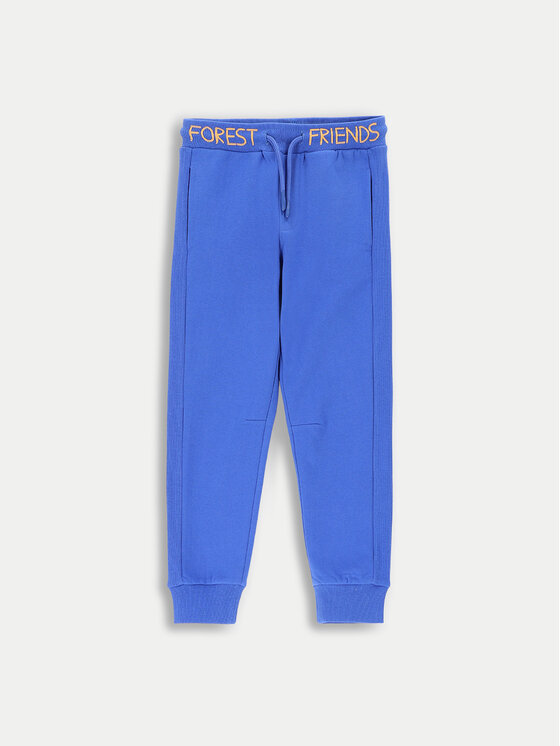 Coccodrillo Coccodrillo Jogginghose ZC4120203FBK Blau Regular Fit