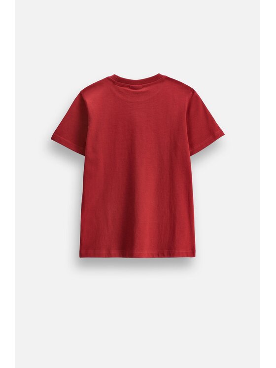 Coccodrillo Coccodrillo T-Shirt ZC6143202ABJ-017 Bordowy Regular Fit