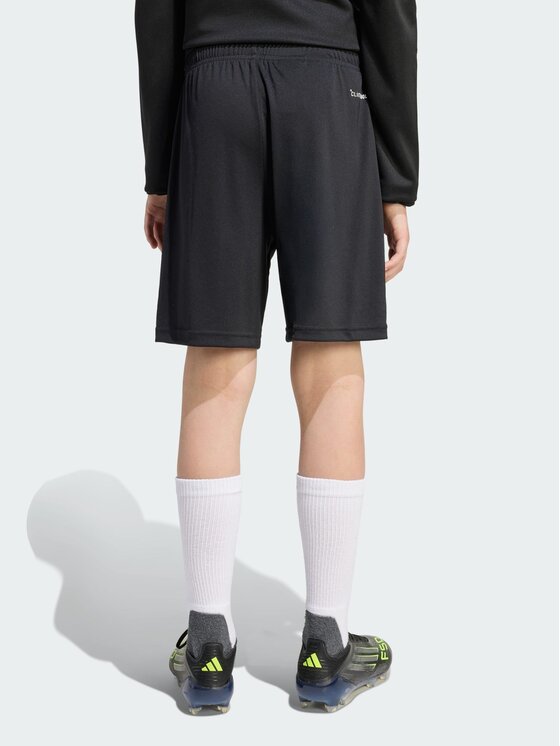 adidas adidas Sportiniai šortai Entrada26 Training Juoda Regular Fit