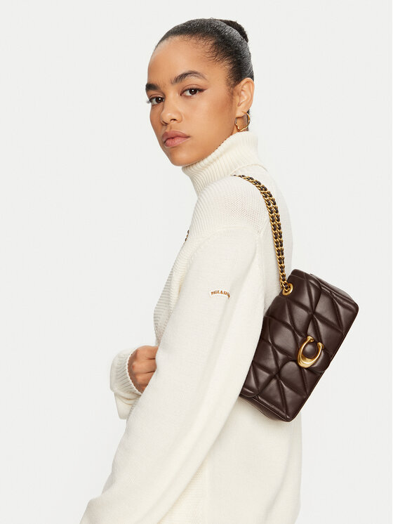 Coach chanel bag 2025