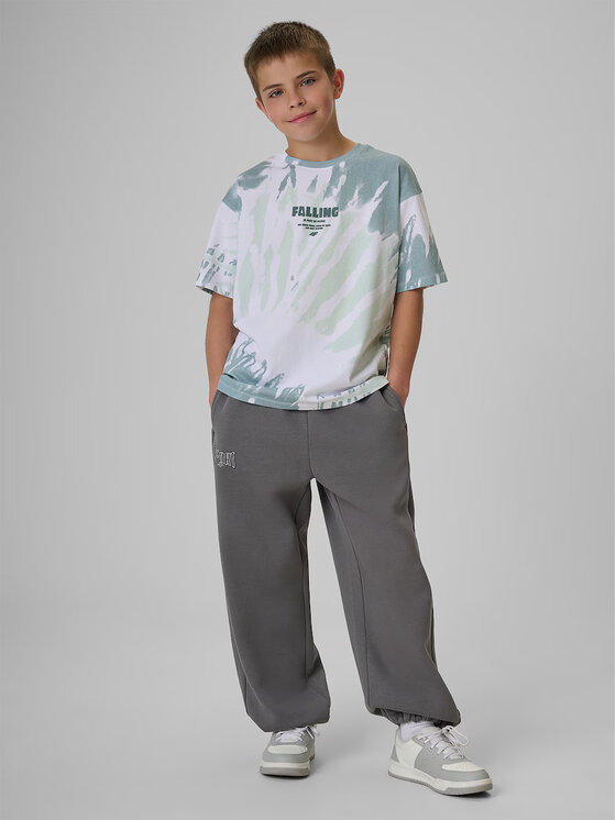 4F 4F T-Shirt SKATE & RIDE Kolorowy Loose Fit