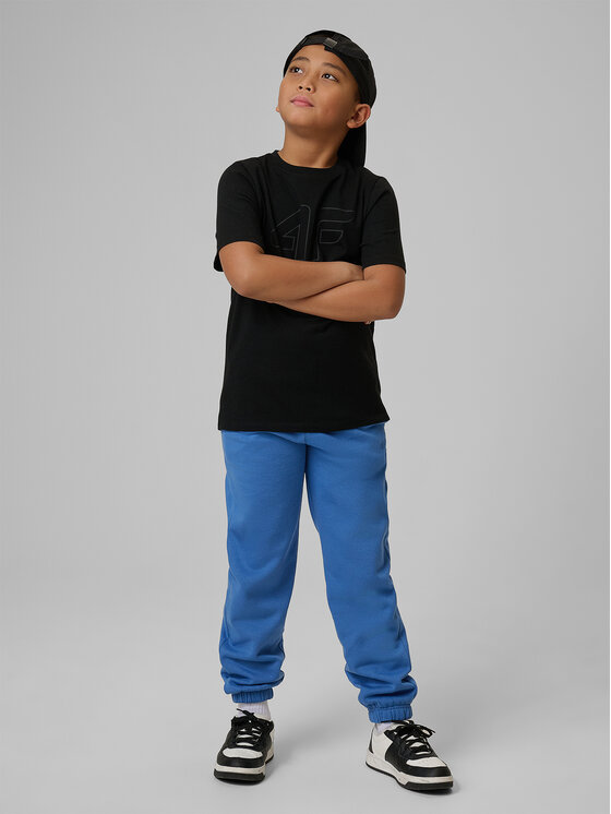4F 4F T-Shirt BASIC+ Černá Regular Fit