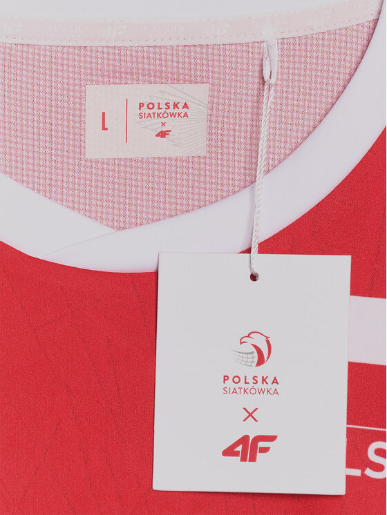 4F 4F T-Shirt TEAMWEAR Kolorowy Regular Fit