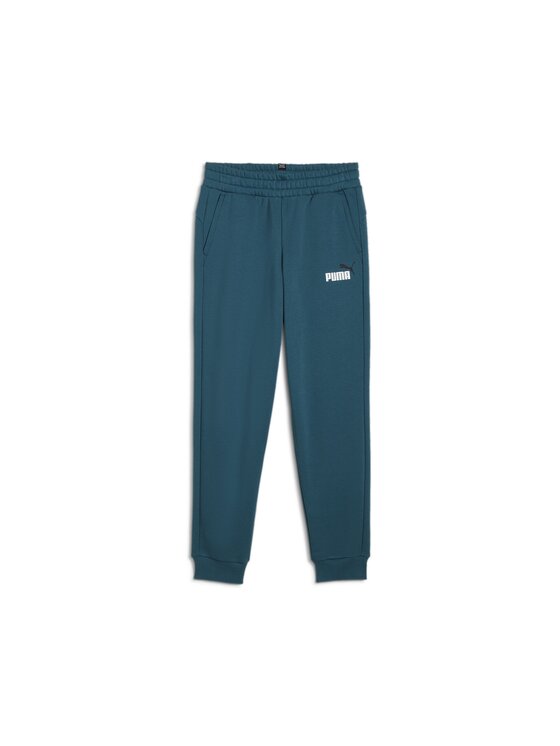 Puma Puma Spodnie dresowe 586988 Zielony Regular Fit