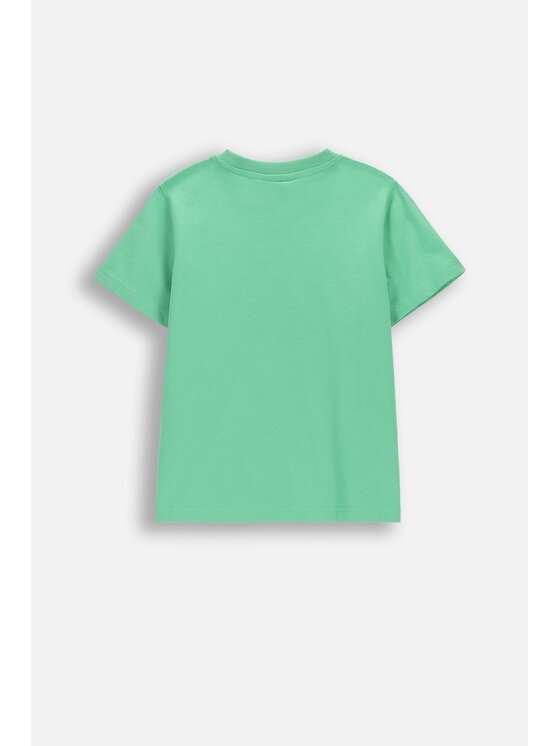 Coccodrillo Coccodrillo T-Shirt WC6143206IBK-011 Zielony Regular Fit