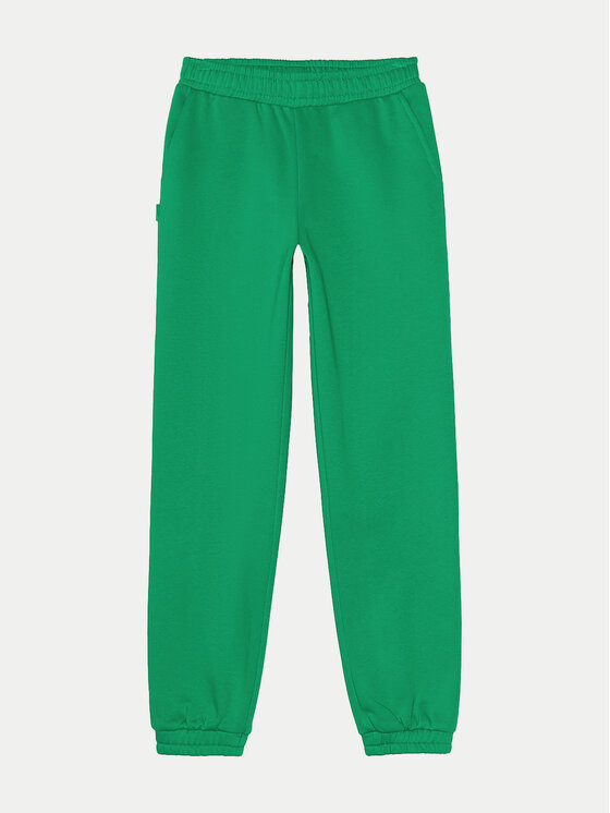 4F 4F Donji dio trenerke 4FJWAW24TTROF754 Zelena Regular Fit