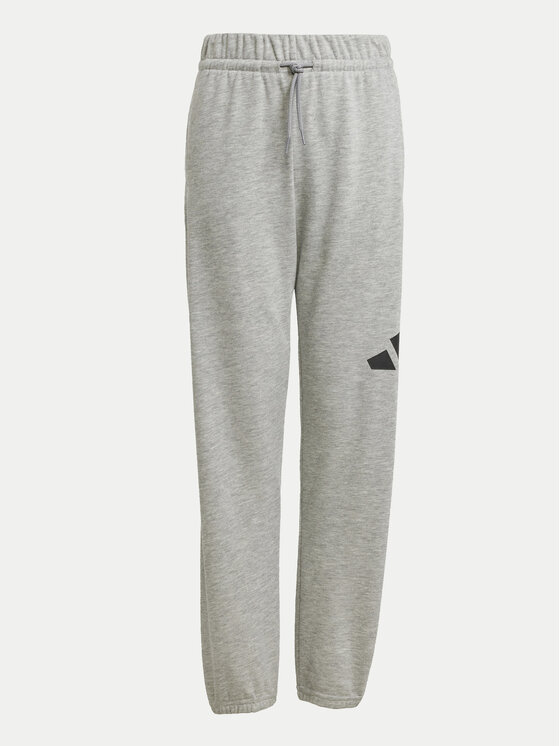 adidas adidas Спортивні штани Essentials JD2092 Сірий Regular Fit
