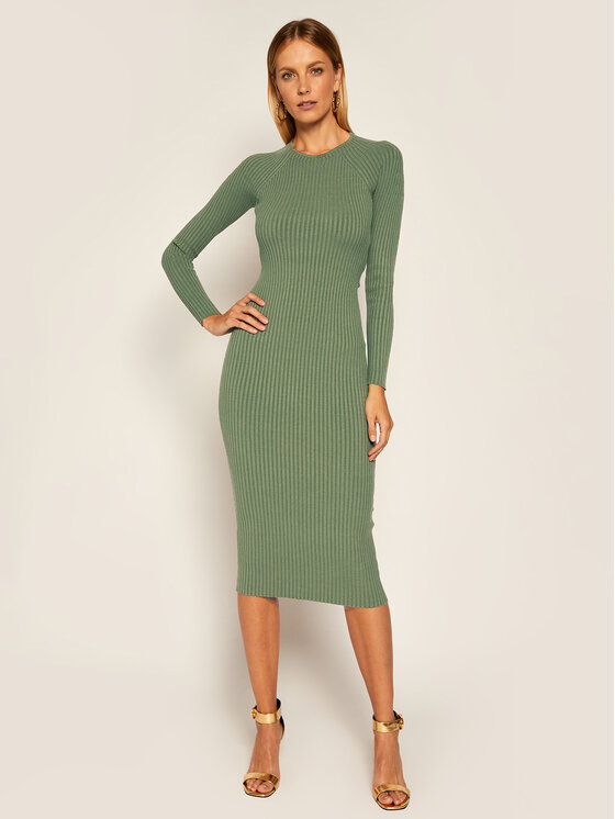 Elisabetta Franchi Elisabetta Franchi Trikotažinė suknelė AM-32M-06E2-V369 Žalia Slim Fit