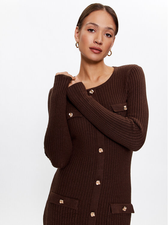 Fracomina Fracomina Трикотажна сукня FR23WD5003K50201 Коричневий Slim Fit
